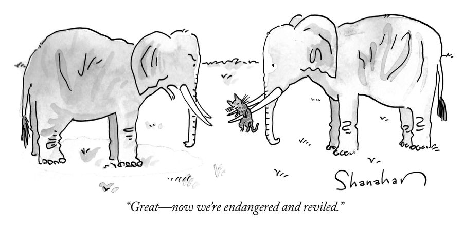 "Great- now we're endangered and reviled."