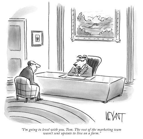 "I'm going to level with you, Tom. The rest of the marketing team wasn't sent upstate to live on a farm."