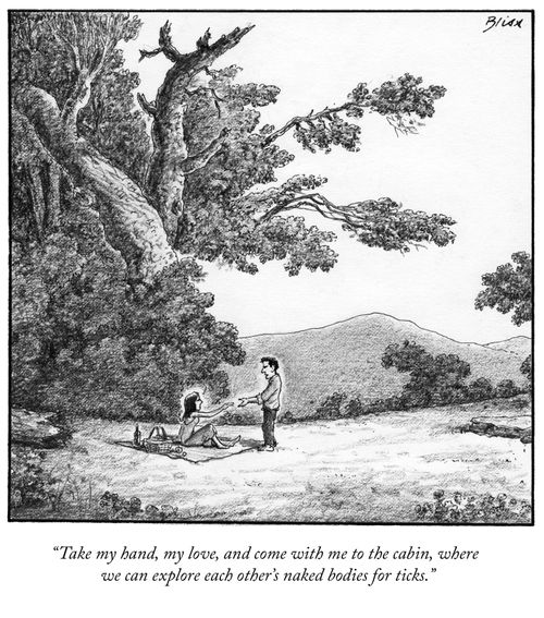 "Take my hand, my love, and come with me to the cabin, where we can explore each other's naked bodies for ticks."
