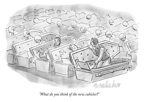 "What do you think of the new cubicles?"