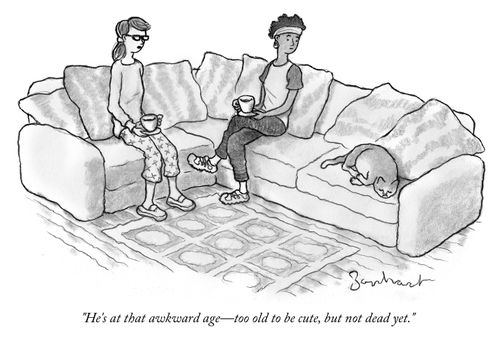 "He's at that awkward age - too old to be cute, but not dead yet."