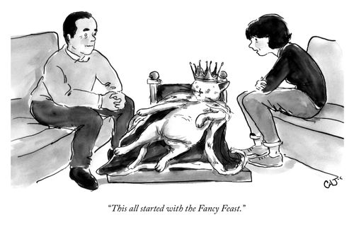 "This all started with the Fancy Feast."
