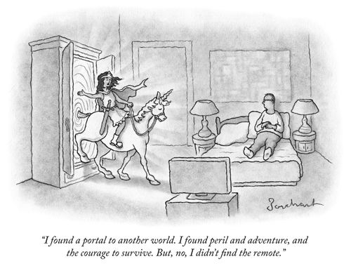 "I found a portal to another world. I found peril and adventure, and the courage to survive. But, no, I didn't find the remote."