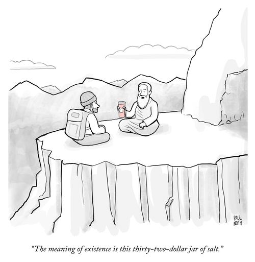"The meaning of existence is this thirty-two-dollar jar of salt."