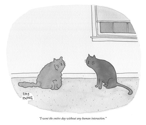 "I went the entire day without any human interaction."