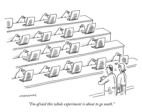 "I'm afraid this whole experiment is about to go south."