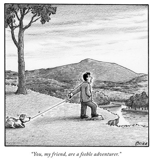 "You, my friend, are a feeble adventurer."