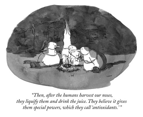 "They harvest our noses then liquify them and drink the juice. They believe it gives them special powers called 'antioxidants'."