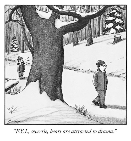 "F.Y.I., sweetie, bears are attracted to drama."