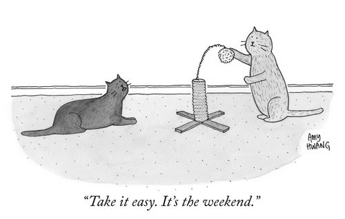 "Take it easy. It's the weekend."