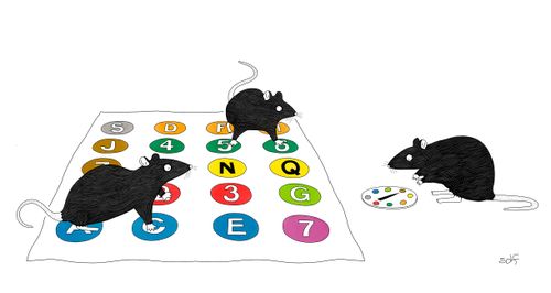 Rats pick out subway lines to inhabit.