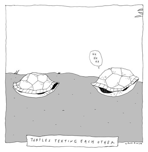 Turtles Texting Each Other