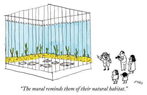 "The mural reminds them of their natural habitat."