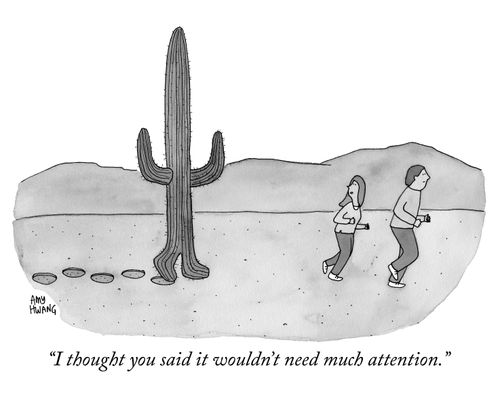 "I thought you said it wouldn't need much attention."