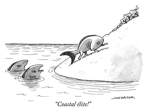 "Coastal élite!"