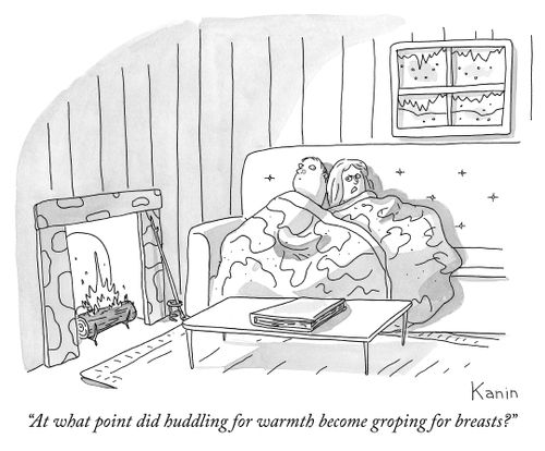 "At what point did huddling for warmth become groping for breasts?"