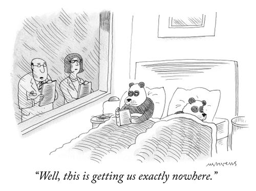 "Well, this is getting us exactly nowhere."
