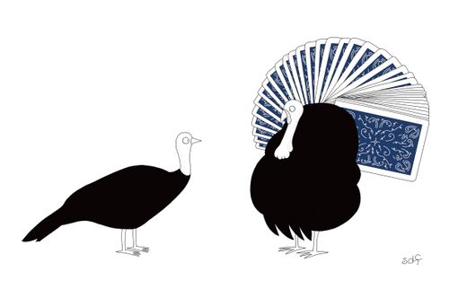 A turkey displays a deck of cards.