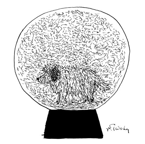 A dog in a snow globe with all of the fur he has shed.