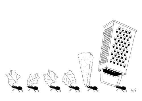 Ants take cheese and grater