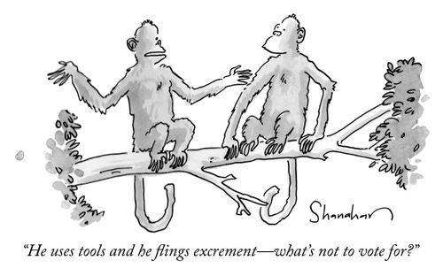 "He uses tools and he flings excrement- what's not to vote for?"