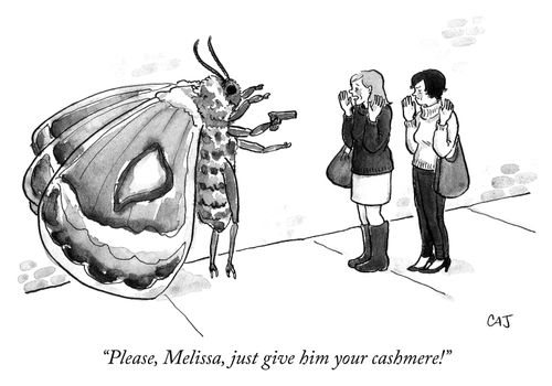 "Please, Melissa, just give him your cashmere!"