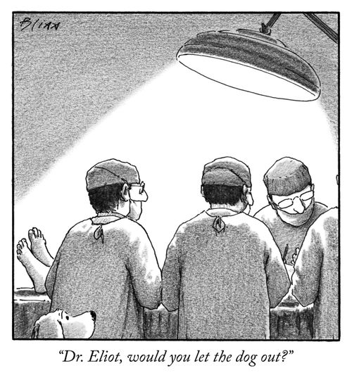 "Dr. Eliot, would you let the dog out?"