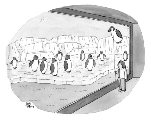 Penguins at a zoo stare at a floating penguin-shaped helium balloon held by a child.