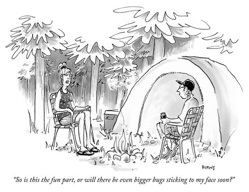 "So is this the fun part, or will there be even bigger bugs sticking to my face soon?"