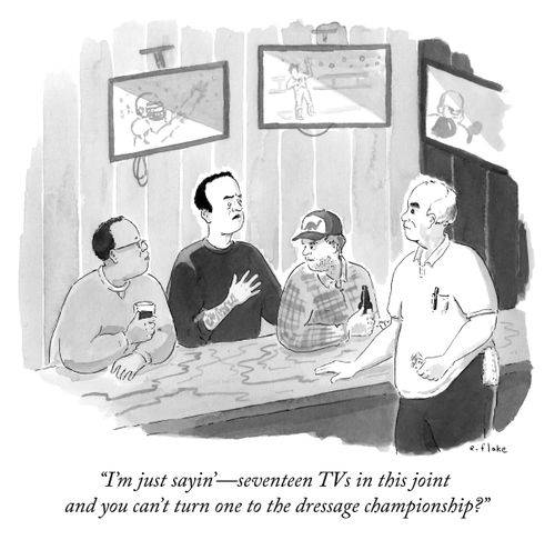 "I'm just saying' – seventeen TVs in this joint and you can't turn one to the dressage championship?"
