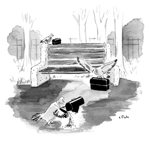 Pigeons empty crumbs from their lunchboxes.