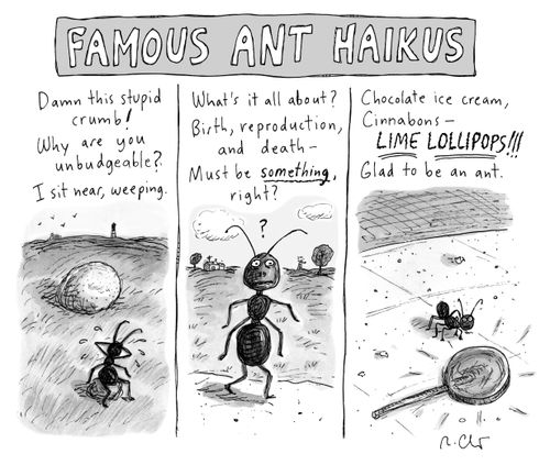 Famous Ant Haikus.
