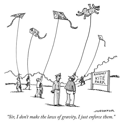"Sir, I don't make the laws of gravity, I just enforce them."