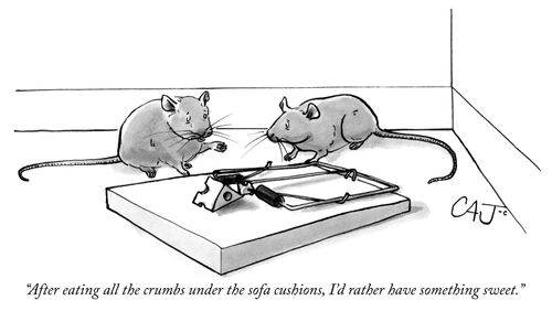 "After eating all the crumbs under the sofa cushions, I'd rather have something sweet."