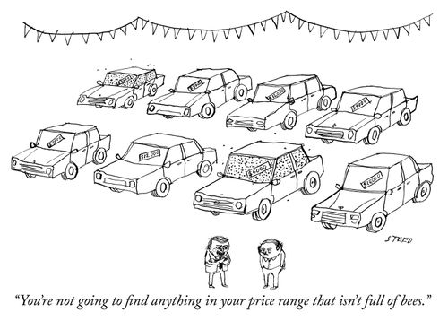 "You're not going to find anything in your price range that isn't full of bees."