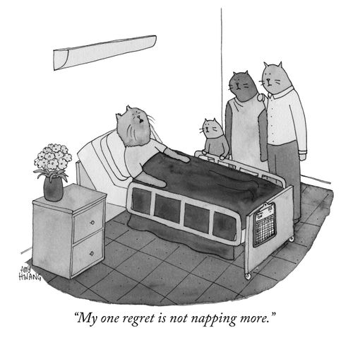 "My one regret is not napping more."