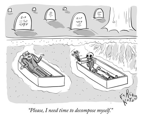 "Please, I need time to decompose myself."