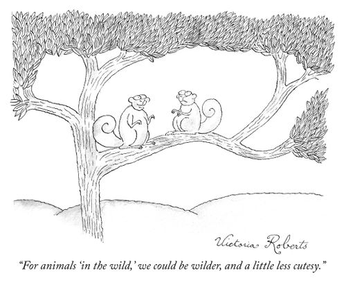 "For animals 'in the wild', we could be wilder, and a little less cutesy."