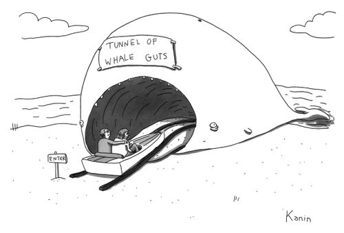 Tunnel of Whale Guts