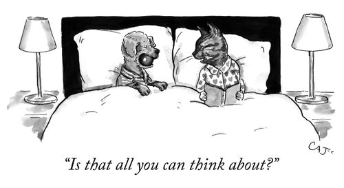 "Is that all you can think about?"