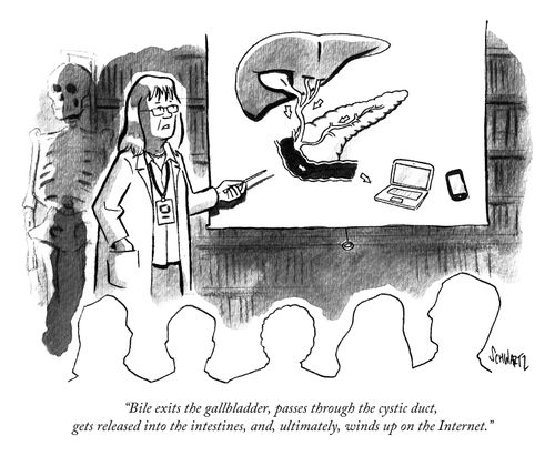 "Bile exits the gallbladder, passes through the cystic duct, gets released into the intestines, and, ultimately, winds up on the Internet."