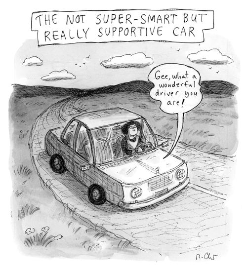 The Not Super-Smart but Really Supportive Car