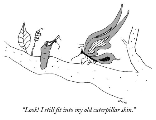 "Look! I still fit into my old caterpillar skin."