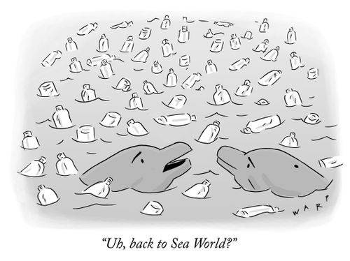"Uh, back to Sea World?"