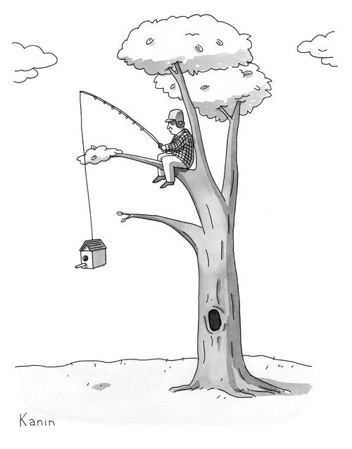 Fishing for Birds