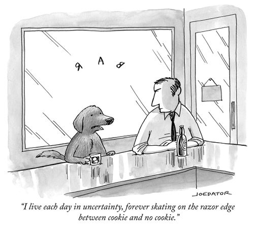 "I live each day in uncertainty, forever skating on the razor edge between cookie and no cookie."