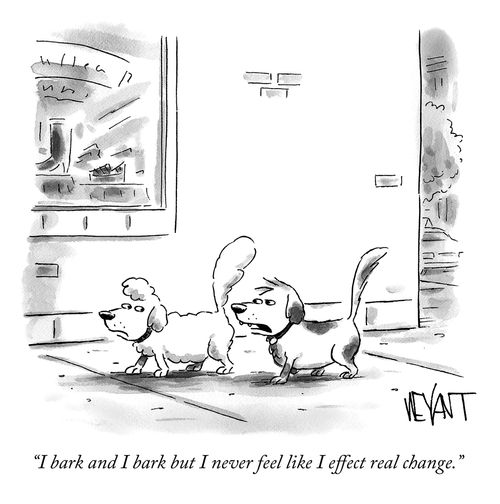 "I bark and I bark but I never feel like I effect real change."