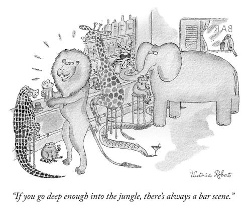 "If you go deep enough into the jungle, there's always a bar scene."