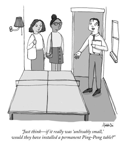 "Just think- if it really was 'unlivably small,' would they have installed a permanent Ping-Pong table?"