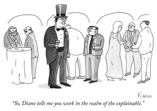 "So, Dianne tells me you work in the realm of the explainable."